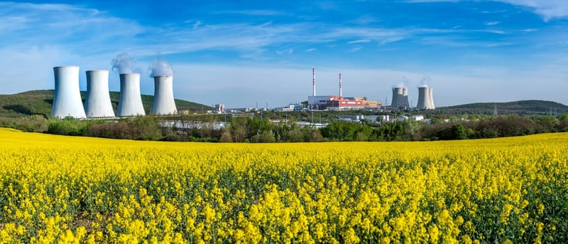 dien hat nhan la gi 1