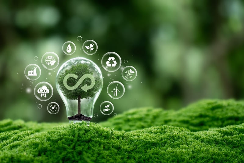 kinh te tuan hoan la gi