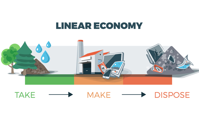 kinh te tuyen tinh 1