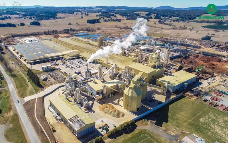 nha may nhiet dien sinh khoi