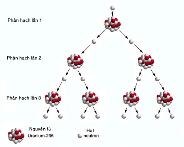 phan ung phan hach duy tri